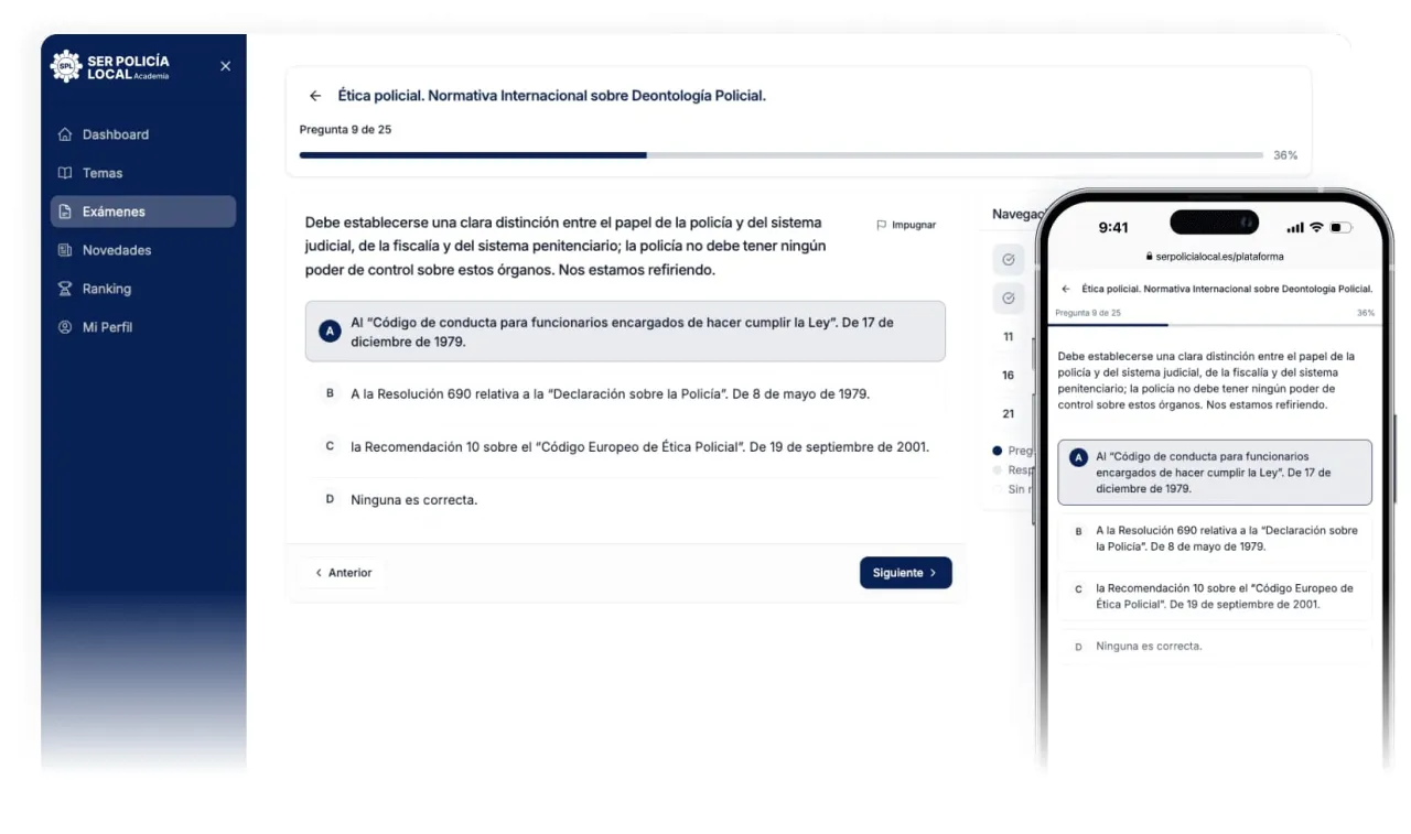 Vista previa de la plataforma profesional de tests